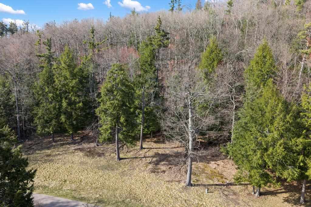 5870 Lodgepole Harbor Springs MI 49740