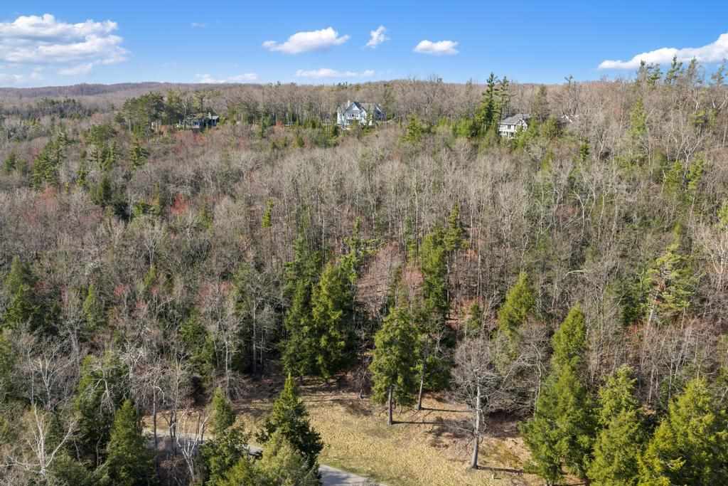 5870 Lodgepole Harbor Springs MI 49740