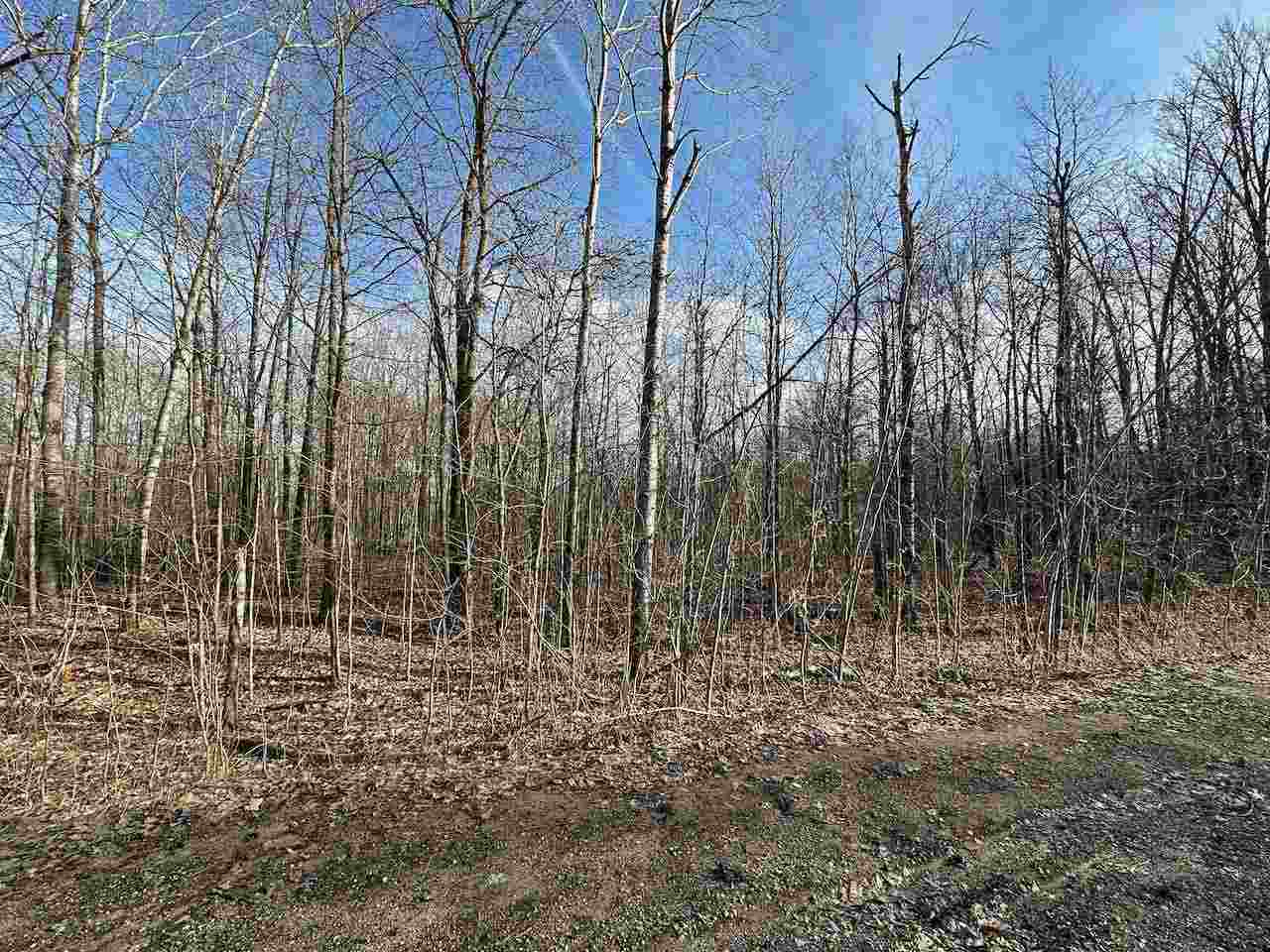 Lot 351 Dellwood Drive Elmira MI 49730