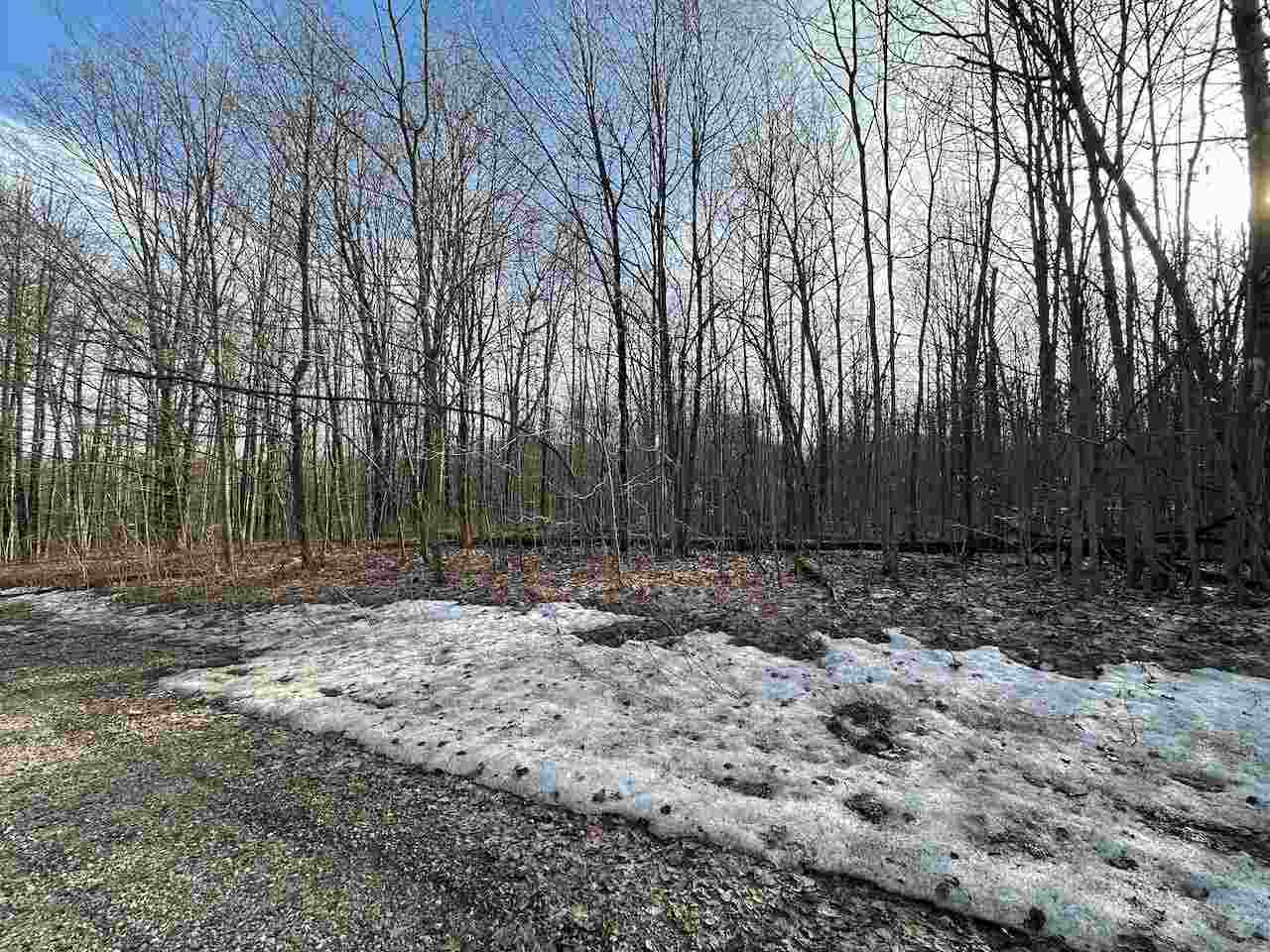 Lot 351 Dellwood Drive Elmira MI 49730
