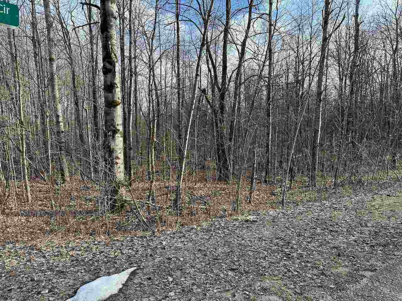Lot 351 Dellwood Drive Elmira MI 49730