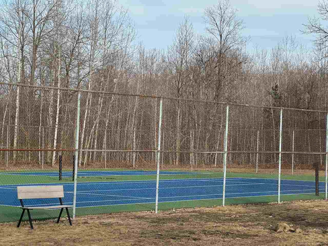 Lot 351 Dellwood Drive Elmira MI 49730