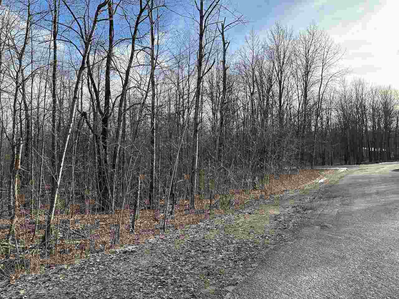 Lot 351 Dellwood Drive Elmira MI 49730