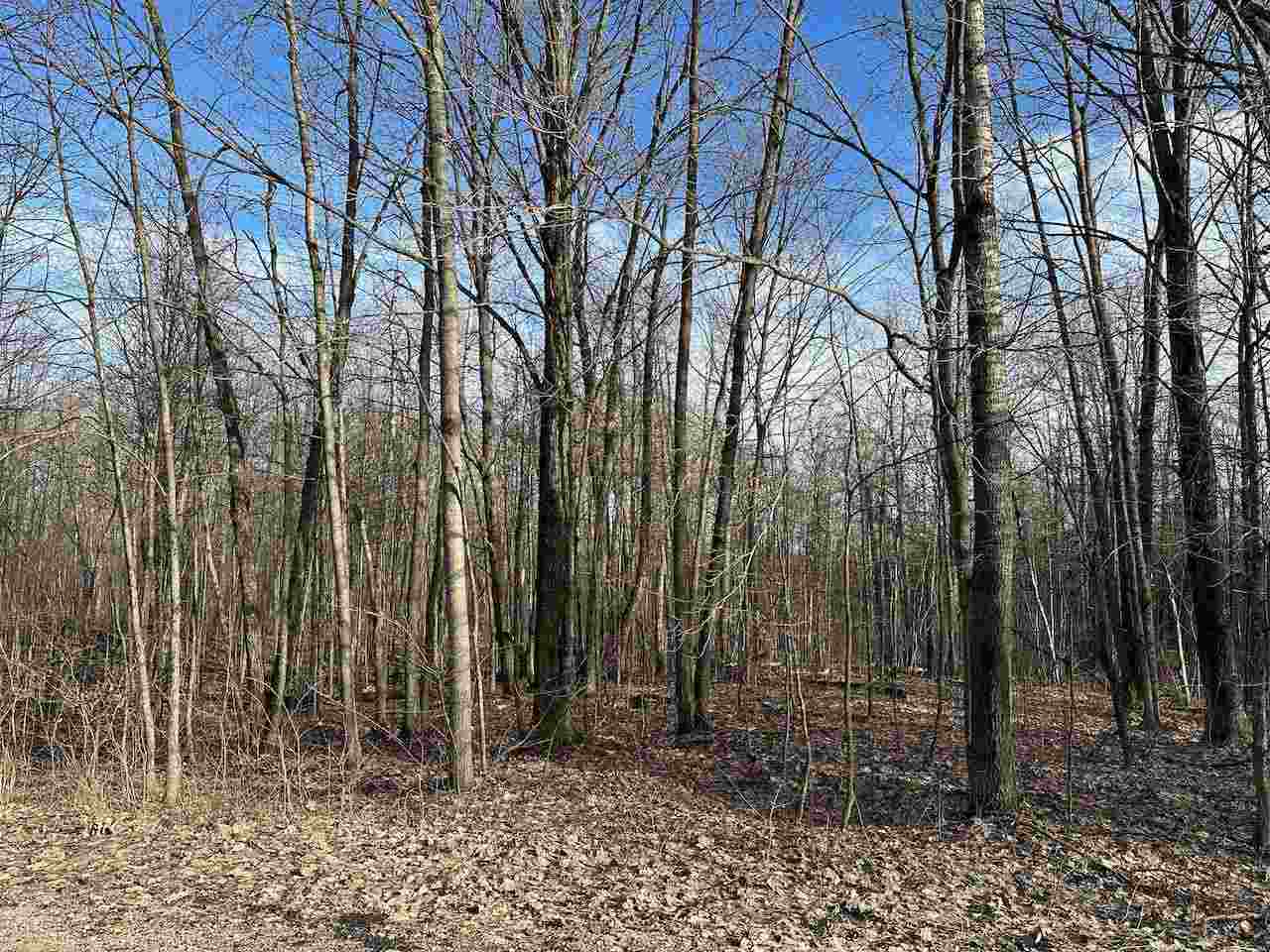 Lot 351 Dellwood Drive Elmira MI 49730