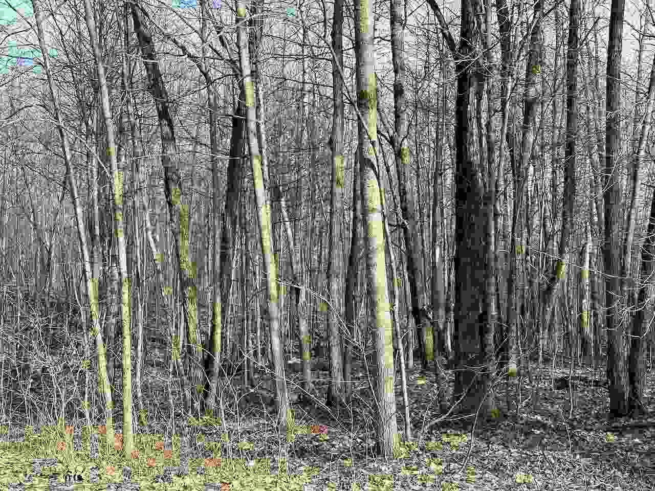 Lot 351 Dellwood Drive Elmira MI 49730