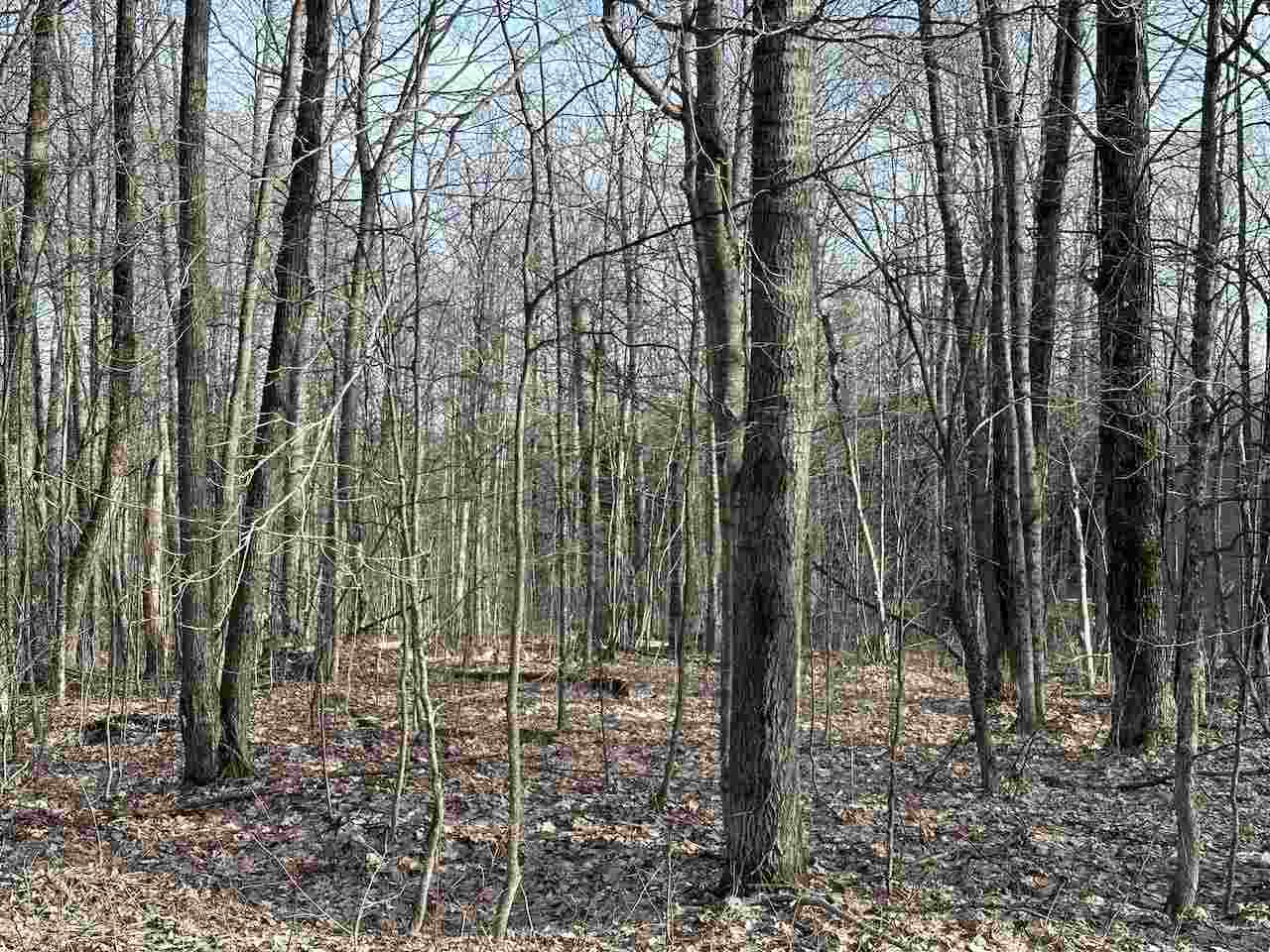 Lot 351 Dellwood Drive Elmira MI 49730