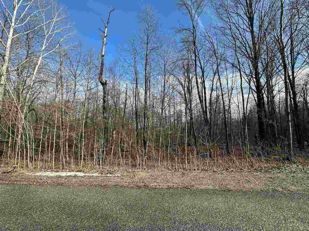 Lot 351 Dellwood Drive Elmira MI 49730