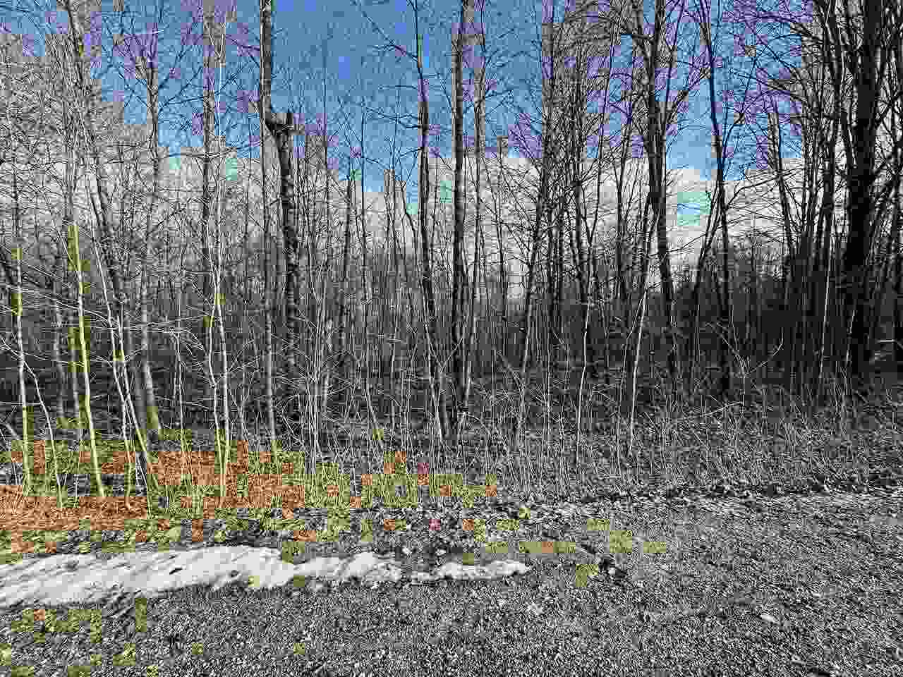 Lot 351 Dellwood Drive Elmira MI 49730