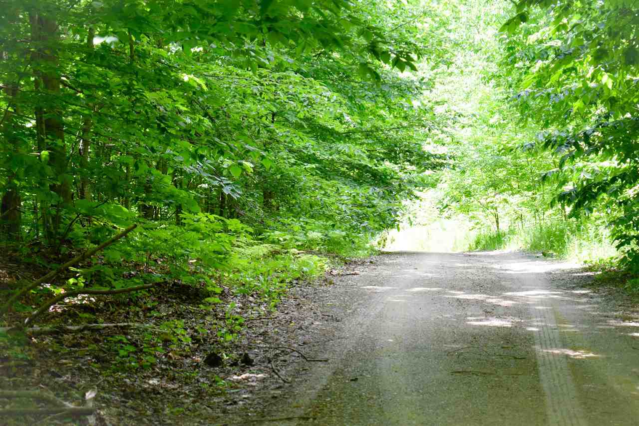 Tbd Berry Lane Boyne City MI 49712