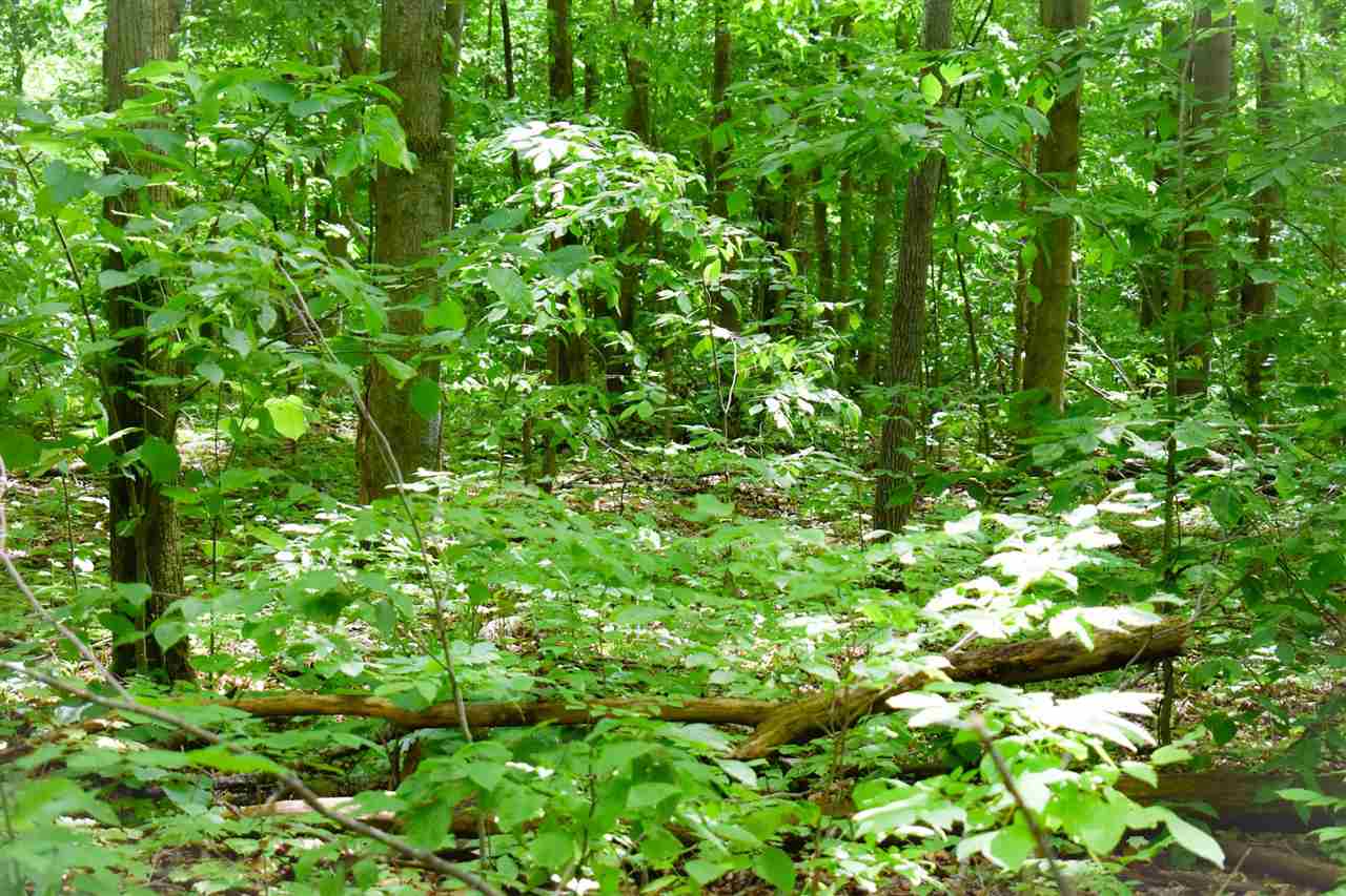 Tbd Berry Lane Boyne City MI 49712