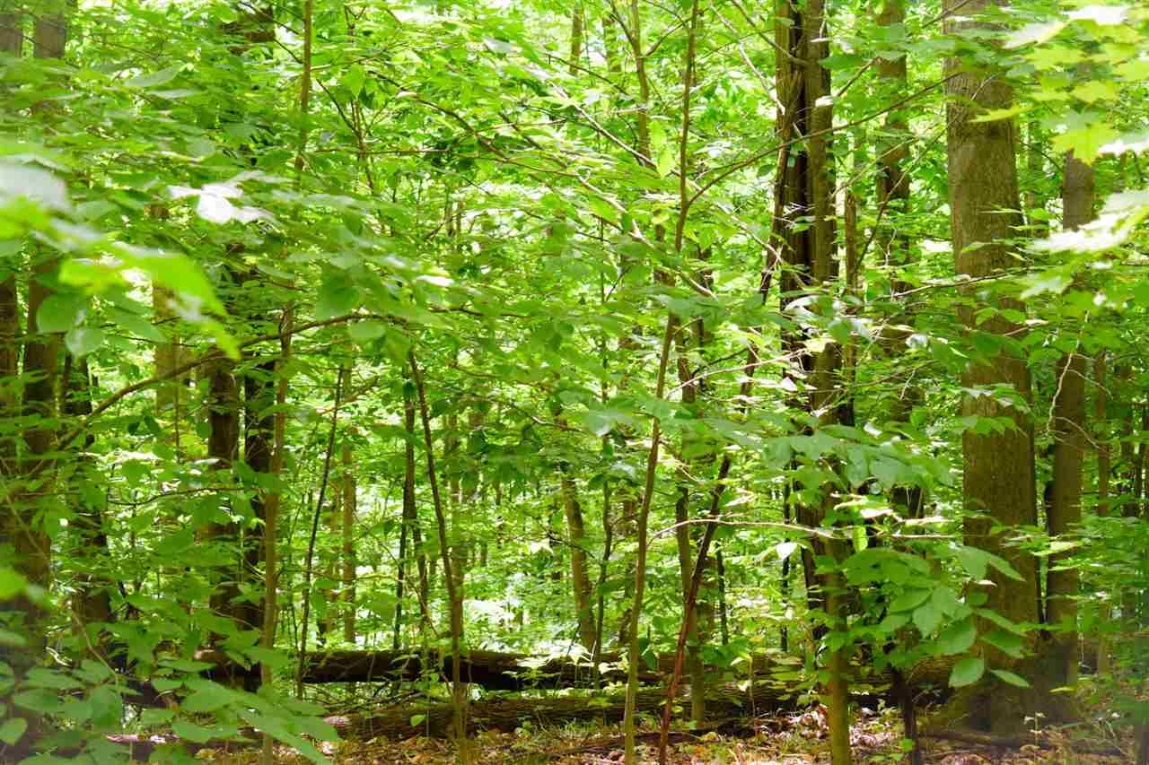 Tbd Berry Lane Boyne City MI 49712