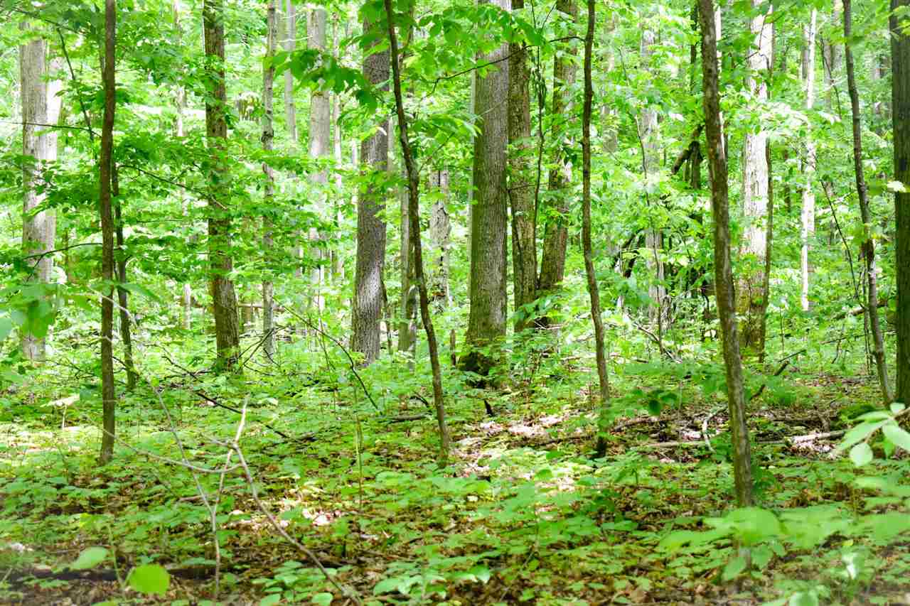 Tbd Berry Lane Boyne City MI 49712