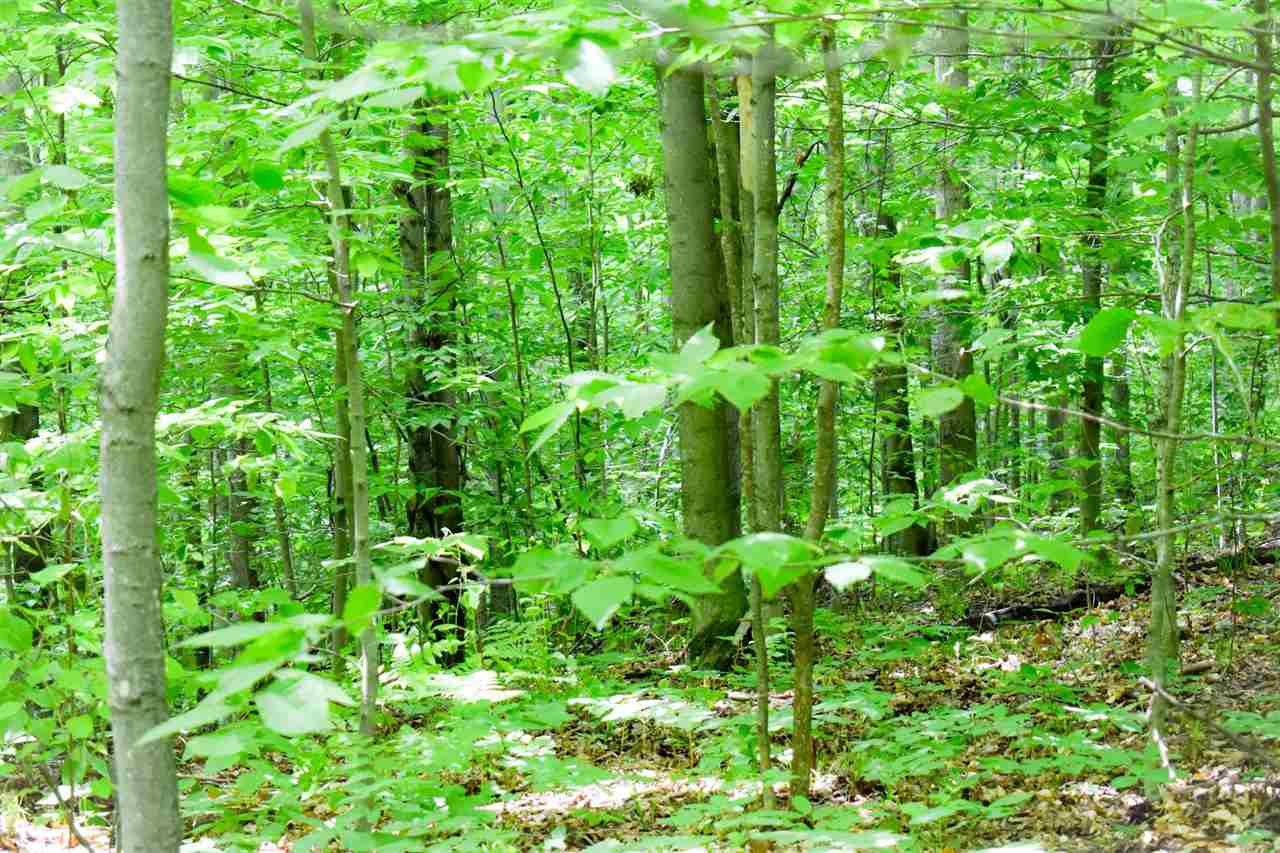 Tbd Berry Lane Boyne City MI 49712