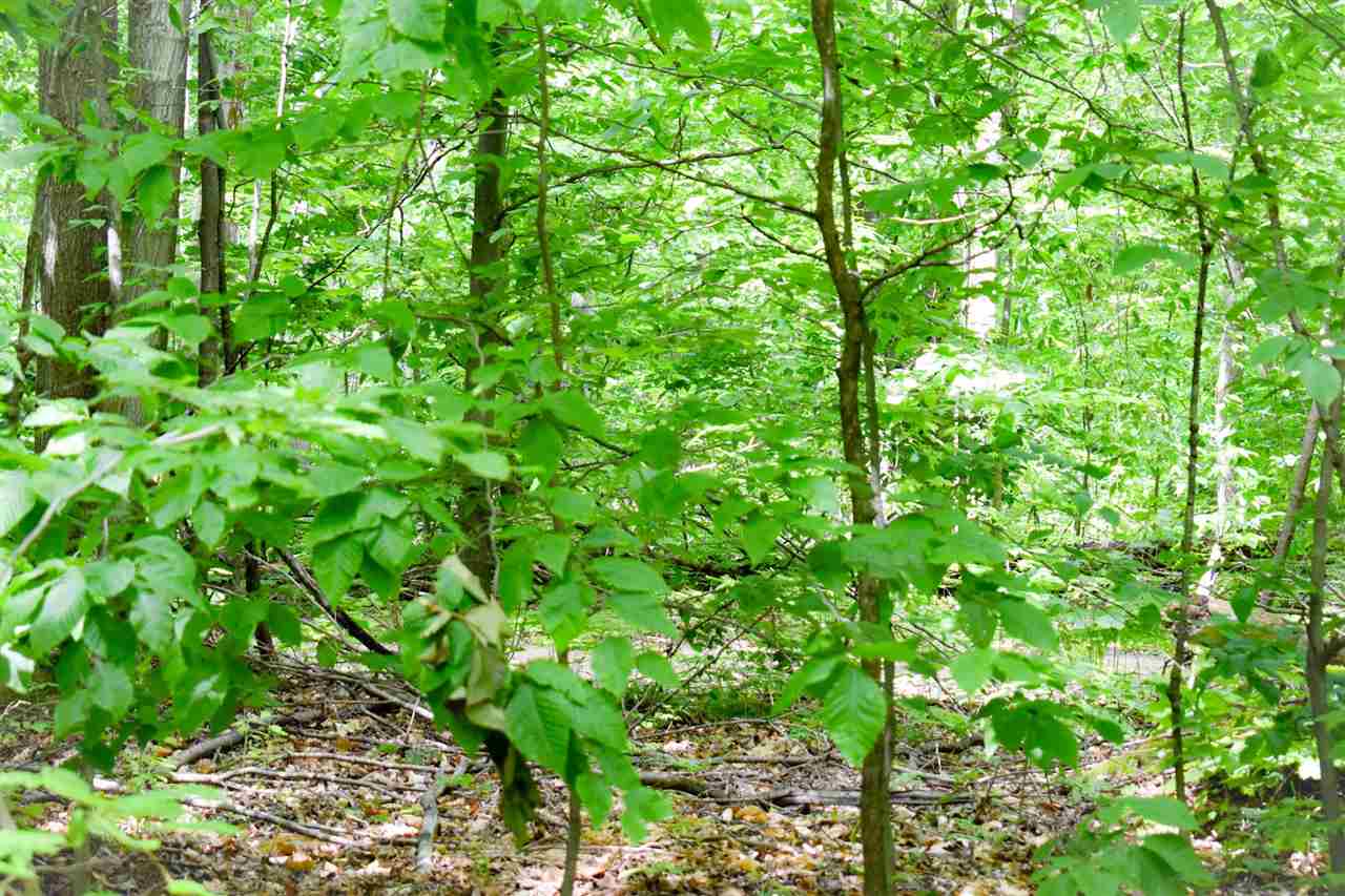 Tbd Berry Lane Boyne City MI 49712