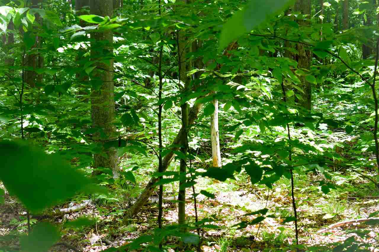 Tbd Berry Lane Boyne City MI 49712
