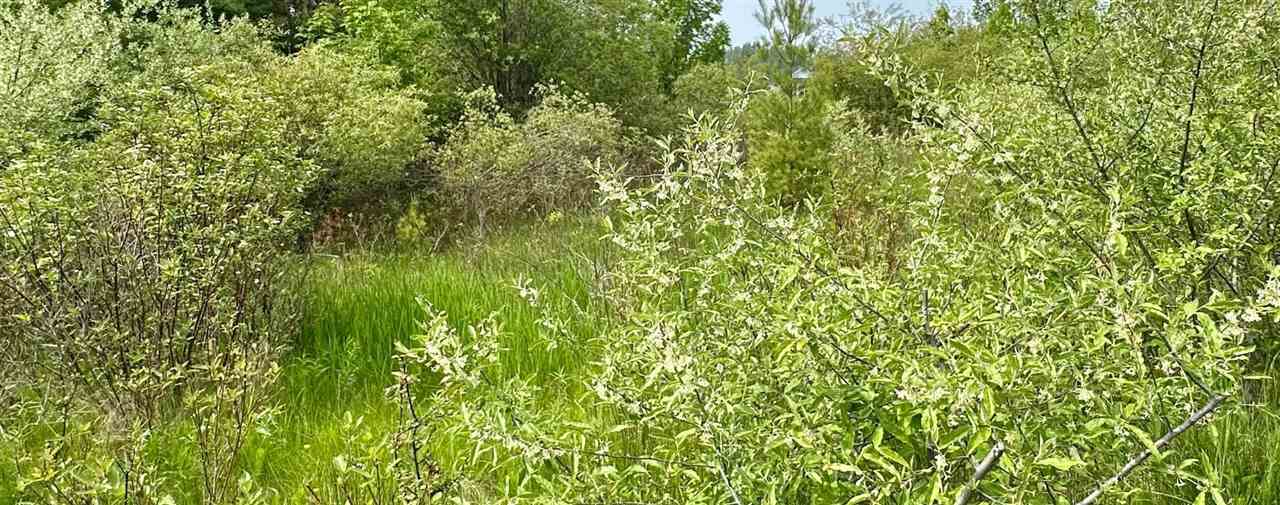 Lot 59 Country Club Drive Charlevoix MI 49720