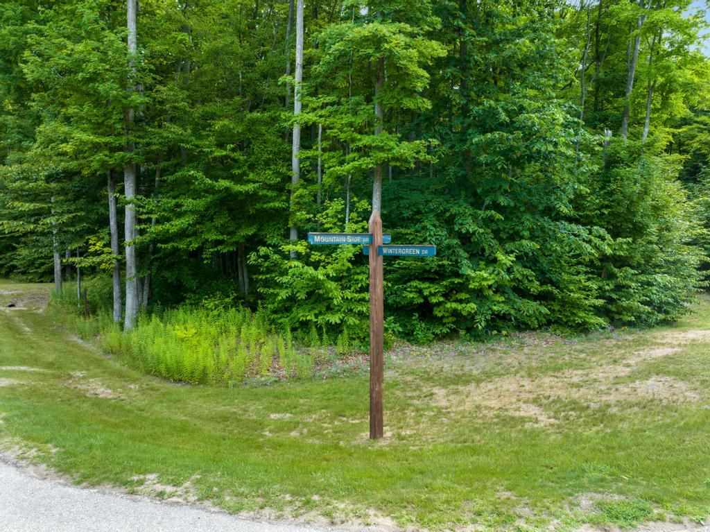 6129 Wintergreen Drive Harbor Springs MI 49740