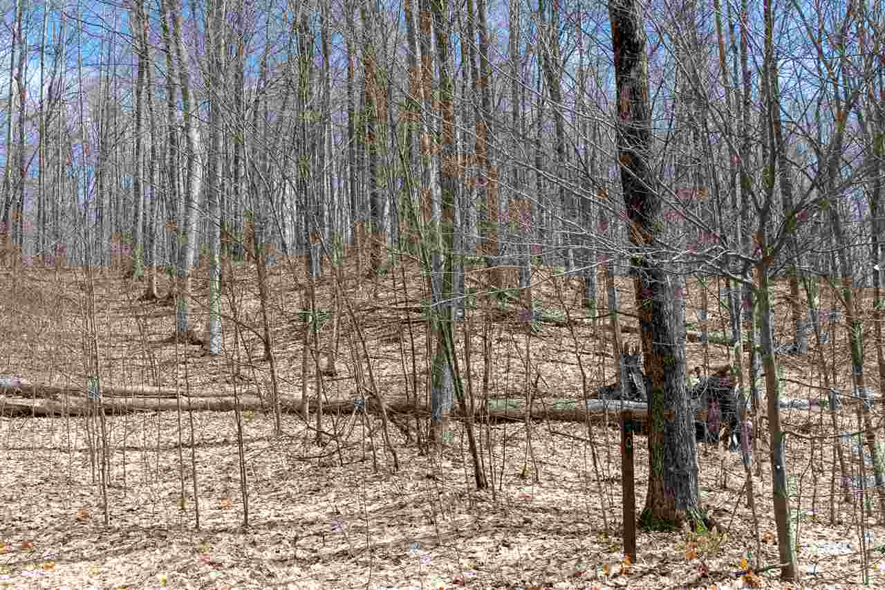 6129 Wintergreen Drive Harbor Springs MI 49740