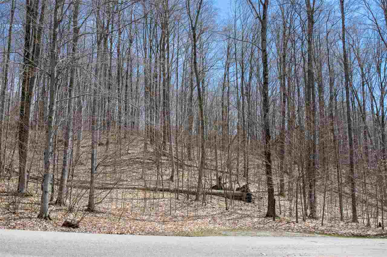 6129 Wintergreen Drive Harbor Springs MI 49740