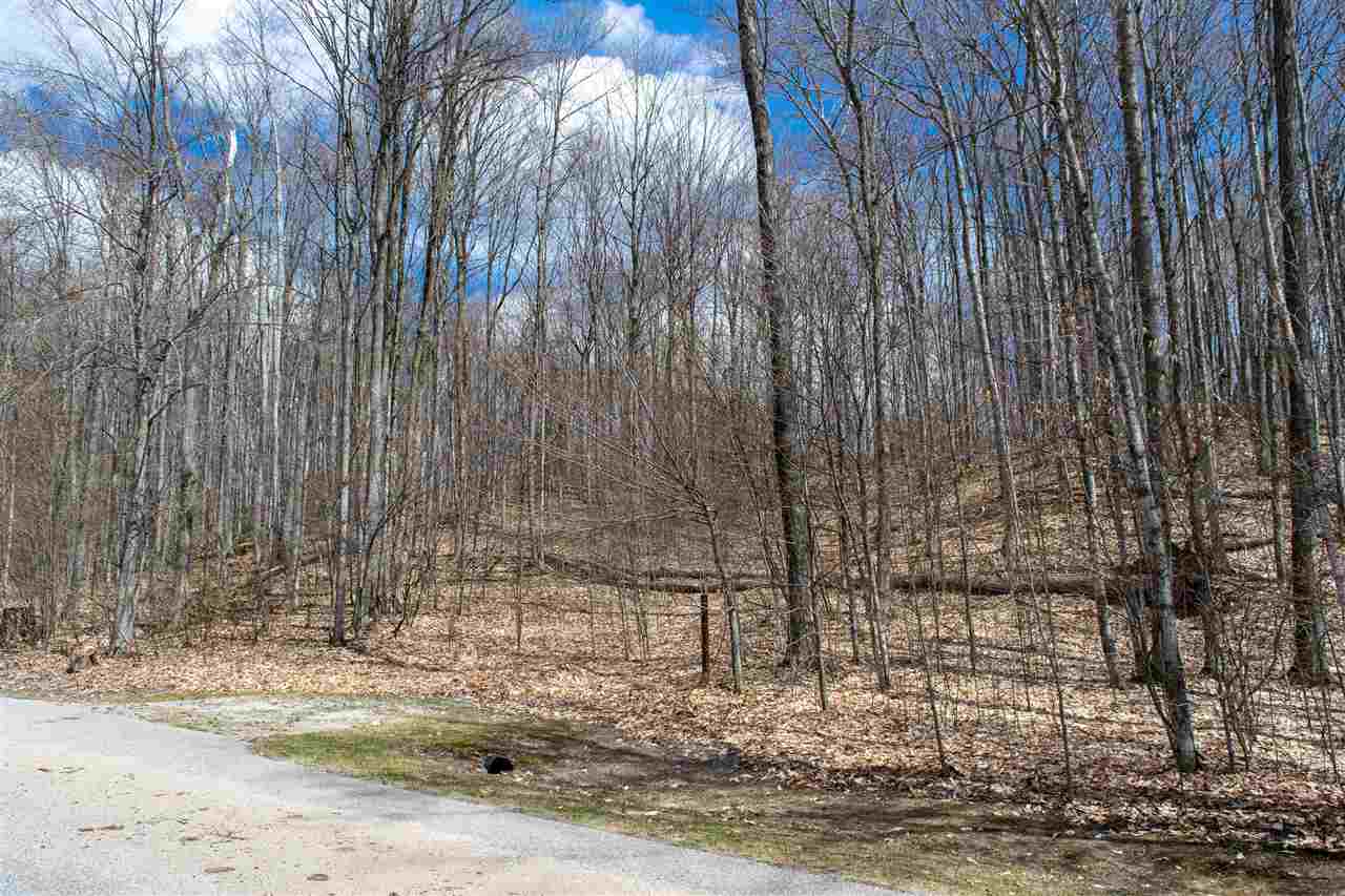 6129 Wintergreen Drive Harbor Springs MI 49740