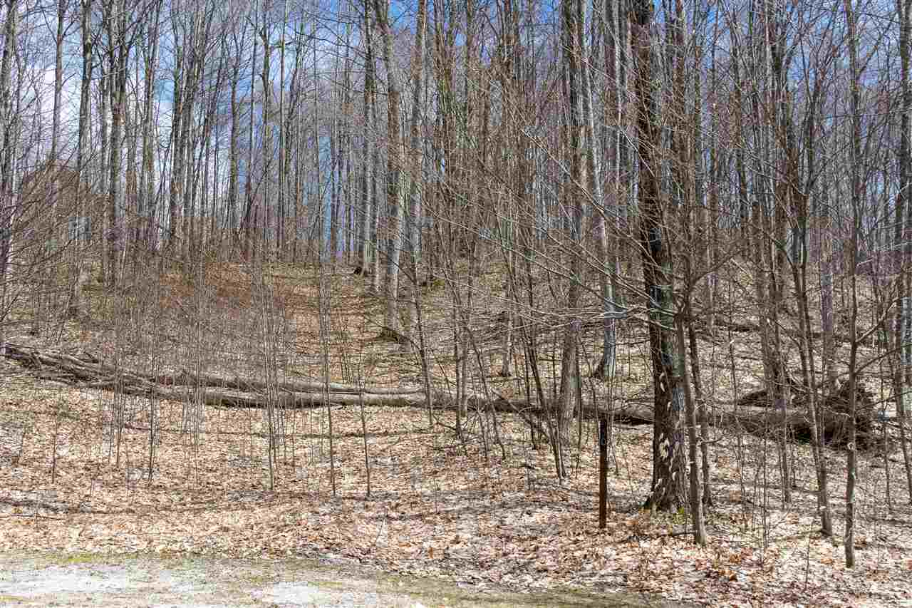 6129 Wintergreen Drive Harbor Springs MI 49740