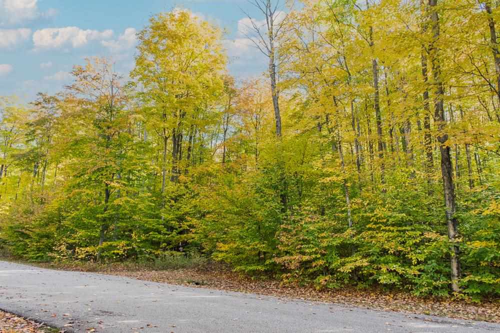 6129 Wintergreen Drive Harbor Springs MI 49740