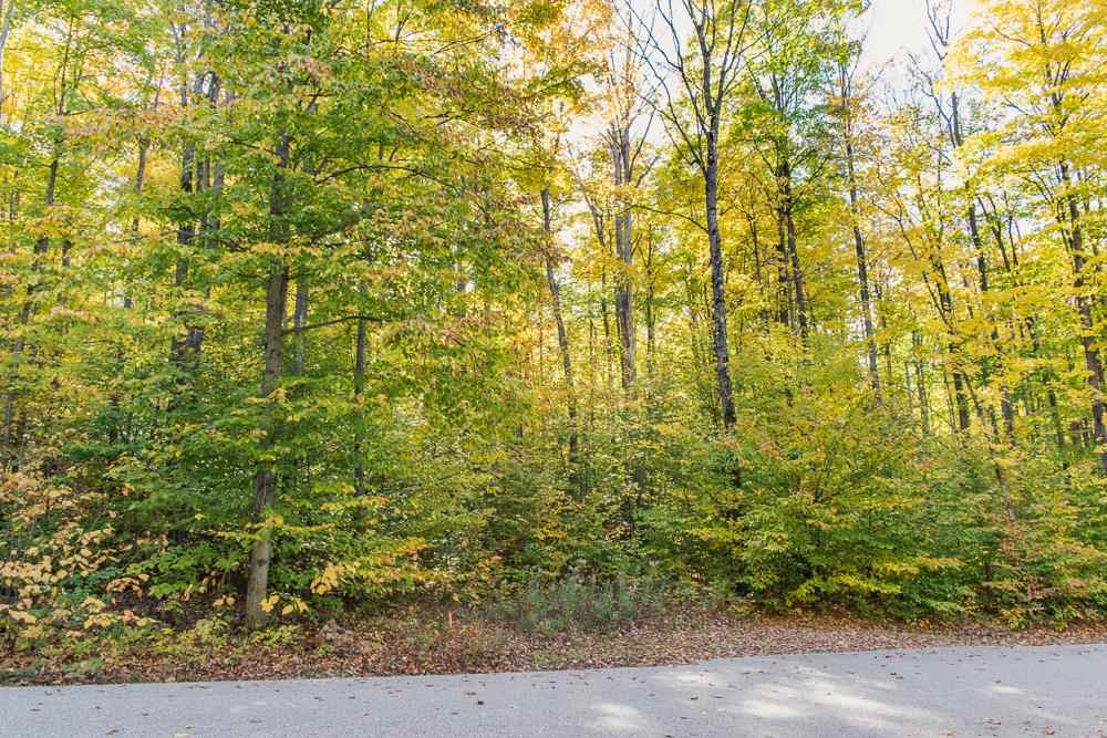 6129 Wintergreen Drive Harbor Springs MI 49740