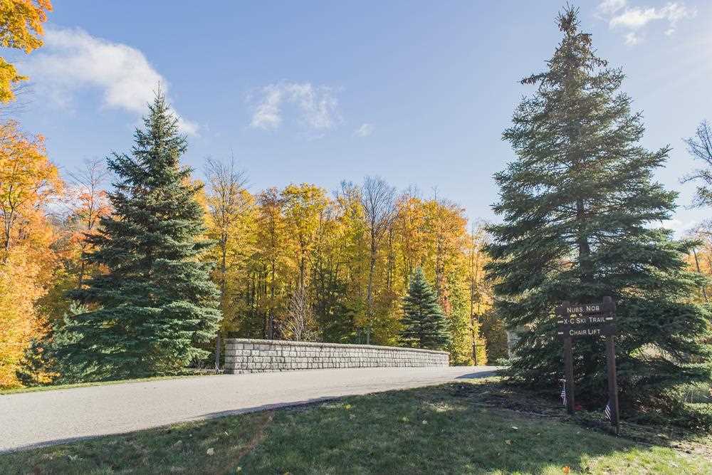 6129 Wintergreen Drive Harbor Springs MI 49740