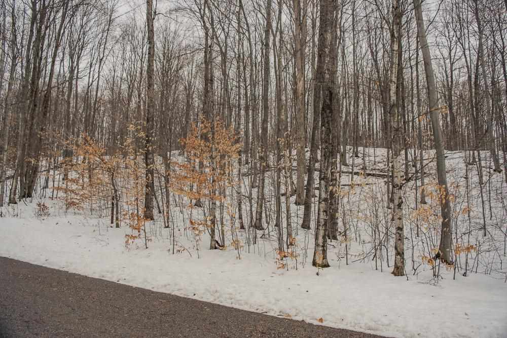 6129 Wintergreen Drive Harbor Springs MI 49740