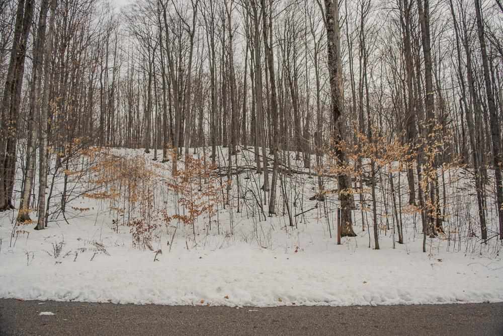 6129 Wintergreen Drive Harbor Springs MI 49740