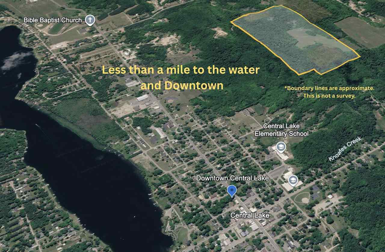 Tbd Clark Road Central Lake MI 49622