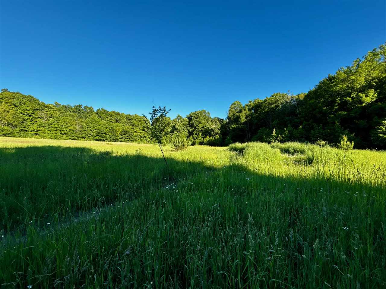 Tbd Clark Road Central Lake MI 49622
