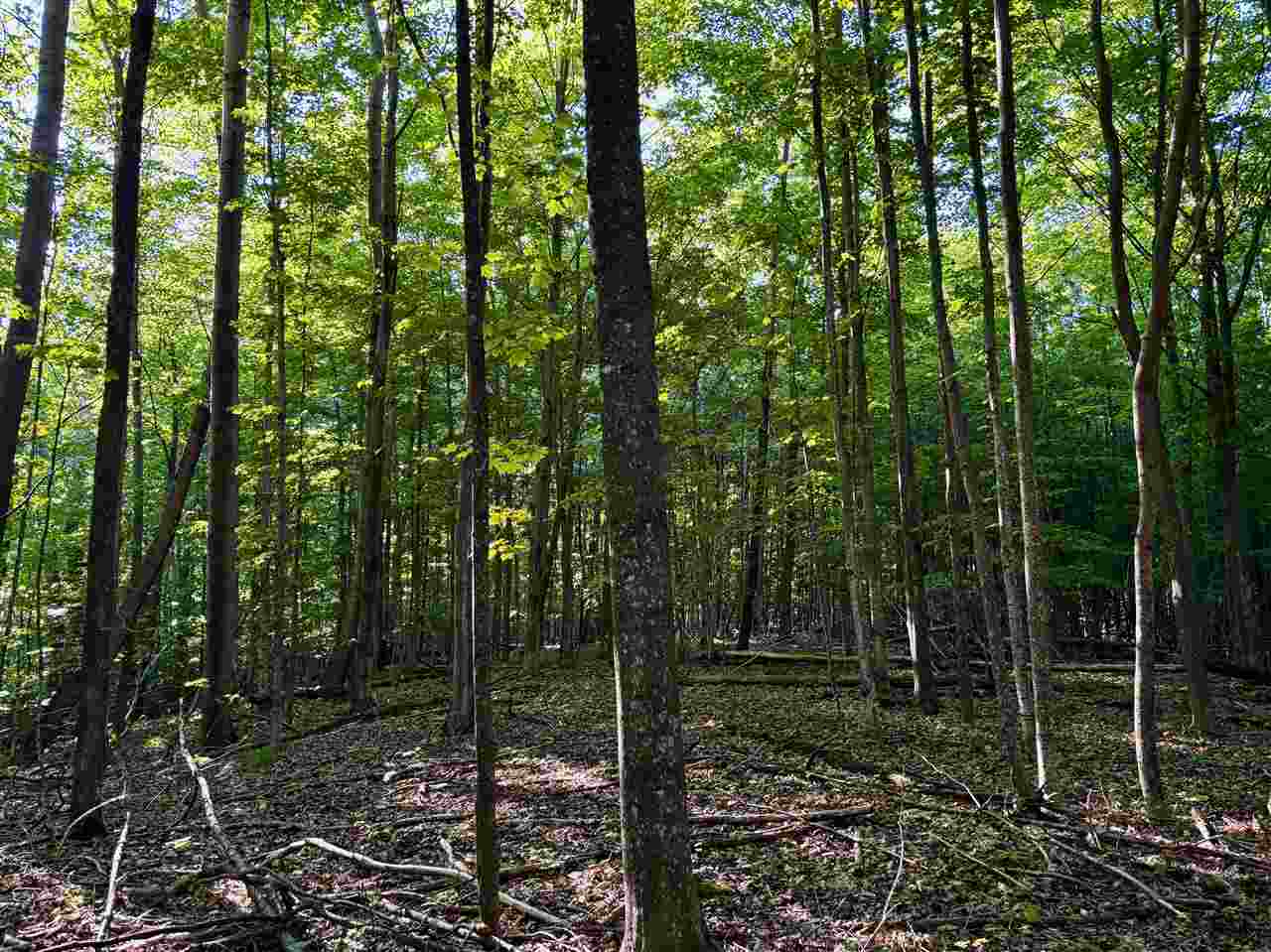 Tbd Clark Road Central Lake MI 49622