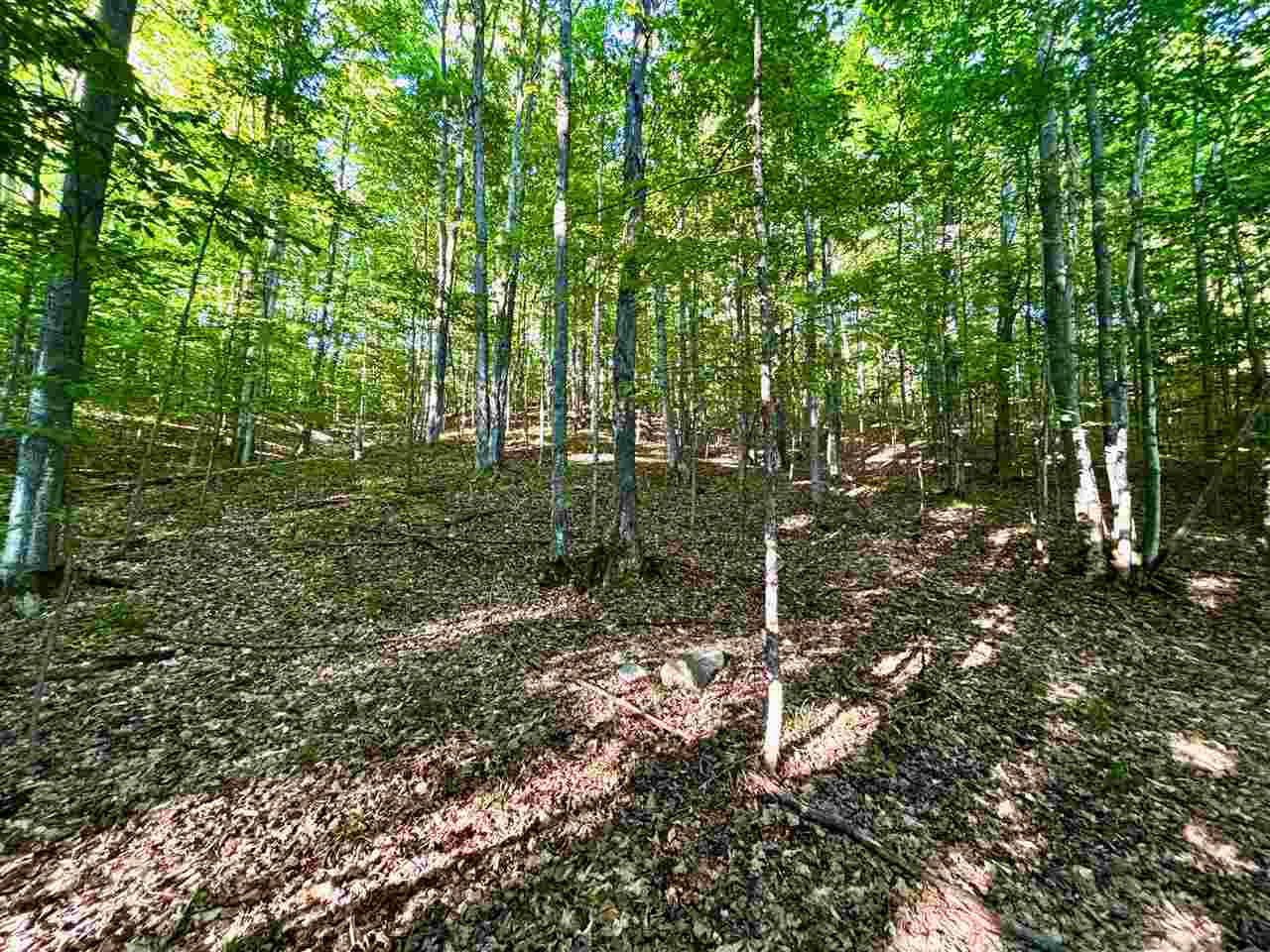 Tbd Clark Road Central Lake MI 49622