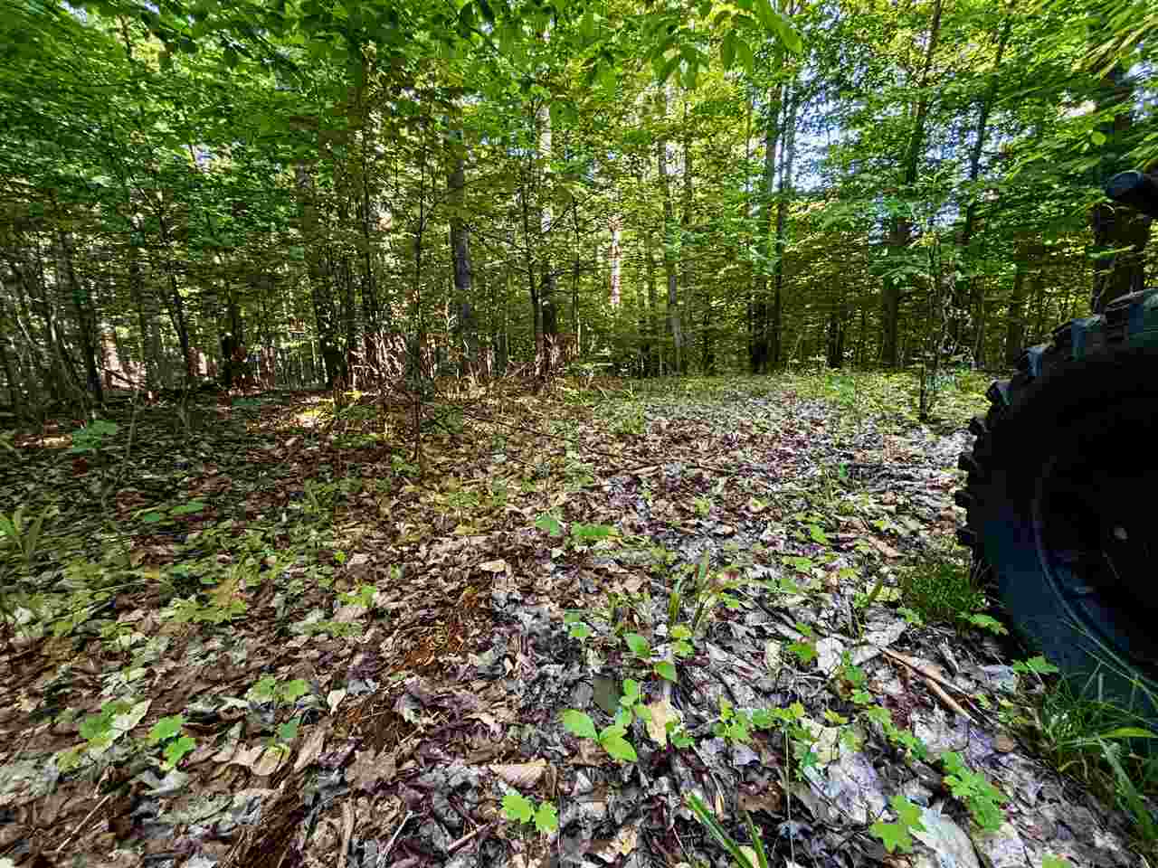 Tbd Clark Road Central Lake MI 49622