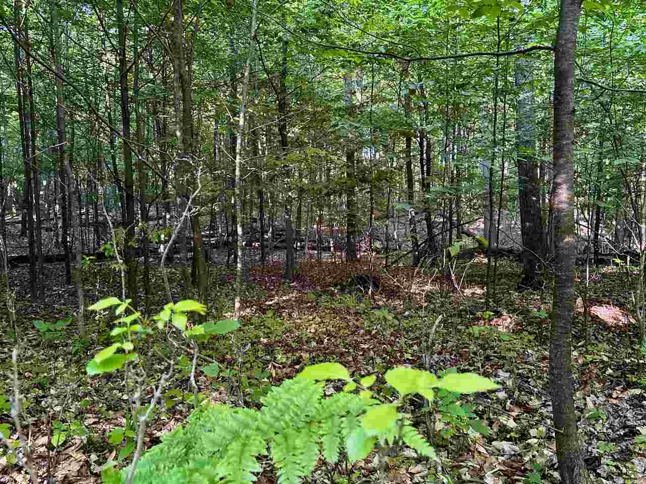 Tbd Clark Road Central Lake MI 49622