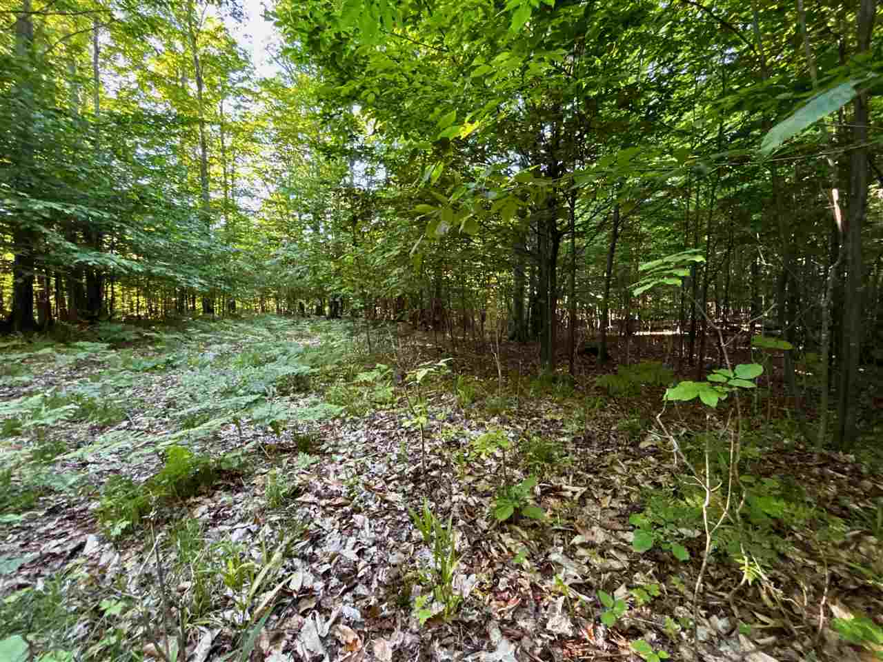Tbd Clark Road Central Lake MI 49622