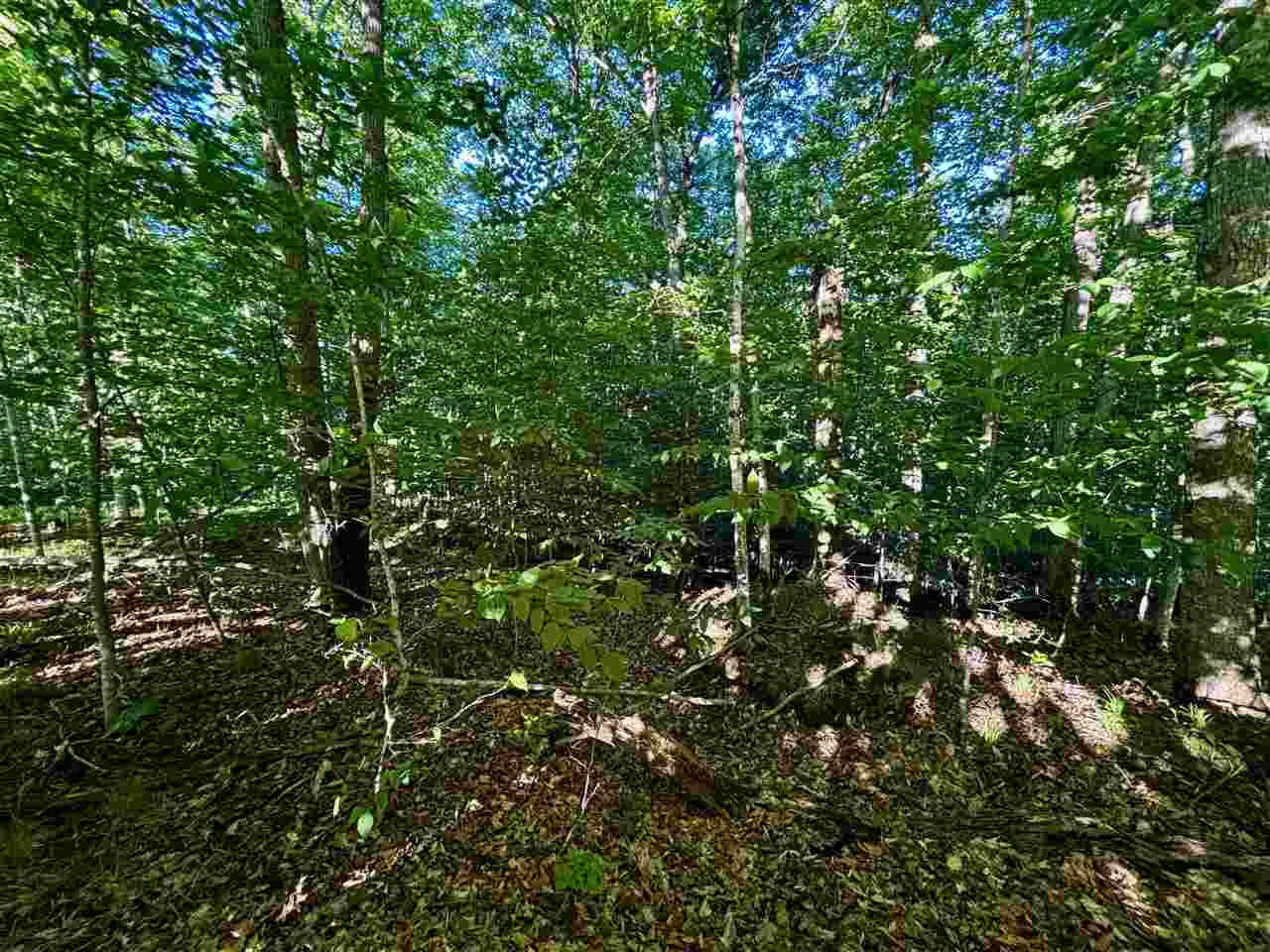 Tbd Clark Road Central Lake MI 49622
