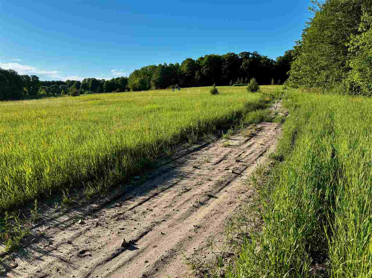 Tbd Clark Road Central Lake MI 49622