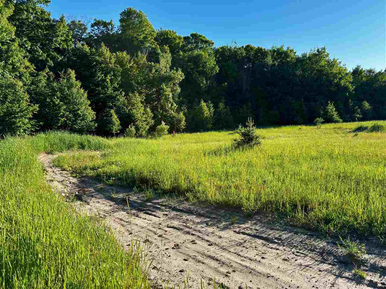 Tbd Clark Road Central Lake MI 49622