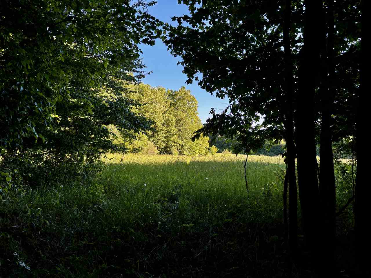 Tbd Clark Road Central Lake MI 49622
