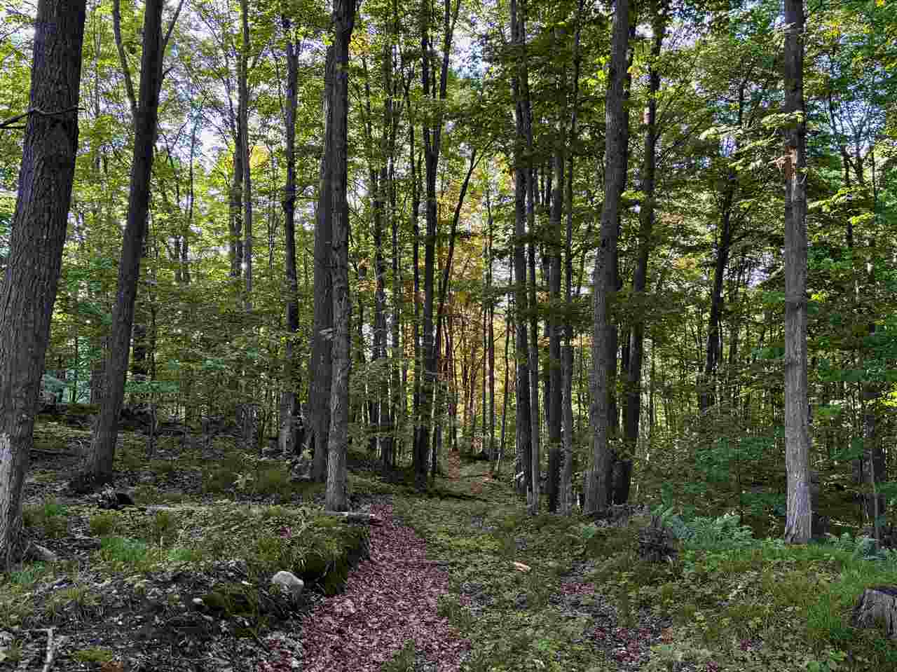 Tbd Clark Road Central Lake MI 49622
