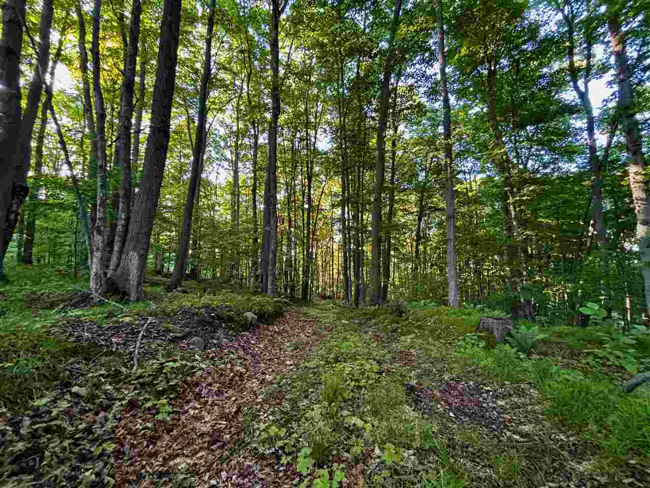 Tbd Clark Road Central Lake MI 49622