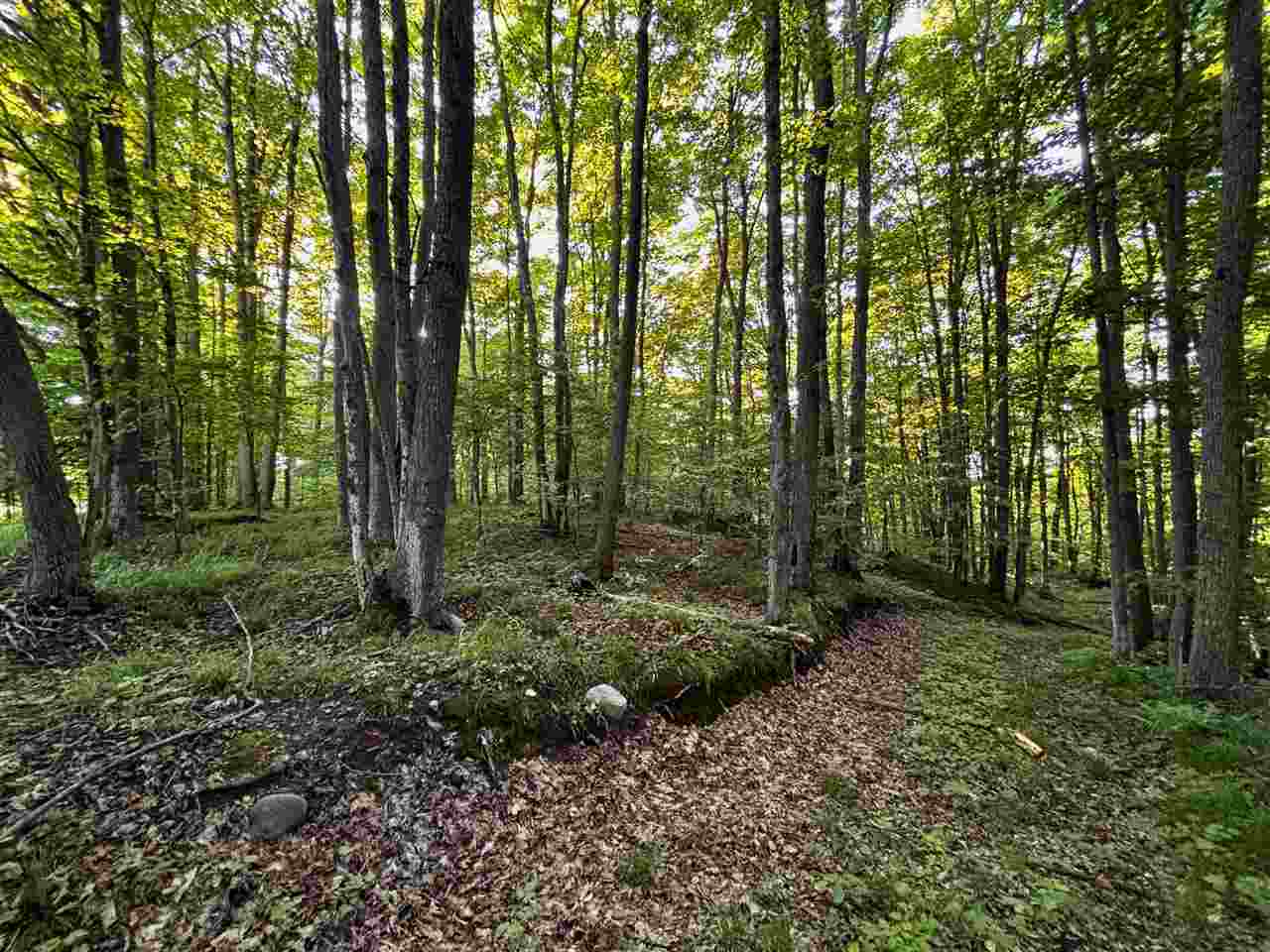Tbd Clark Road Central Lake MI 49622