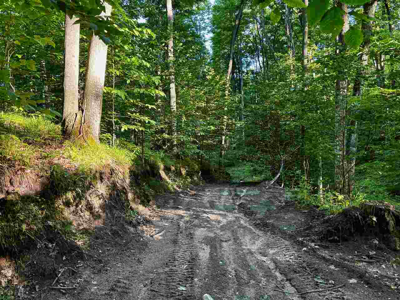 Tbd Clark Road Central Lake MI 49622