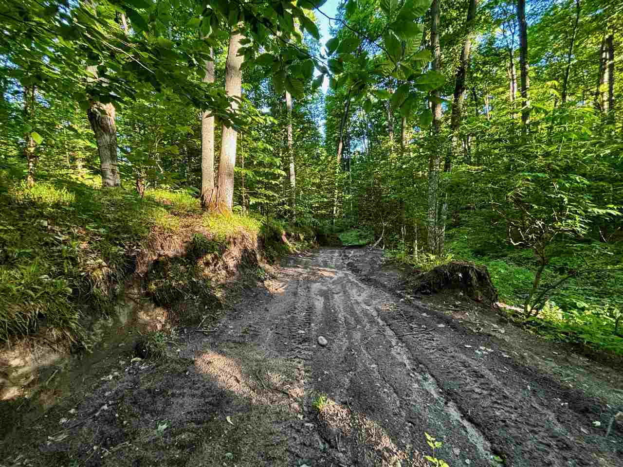 Tbd Clark Road Central Lake MI 49622
