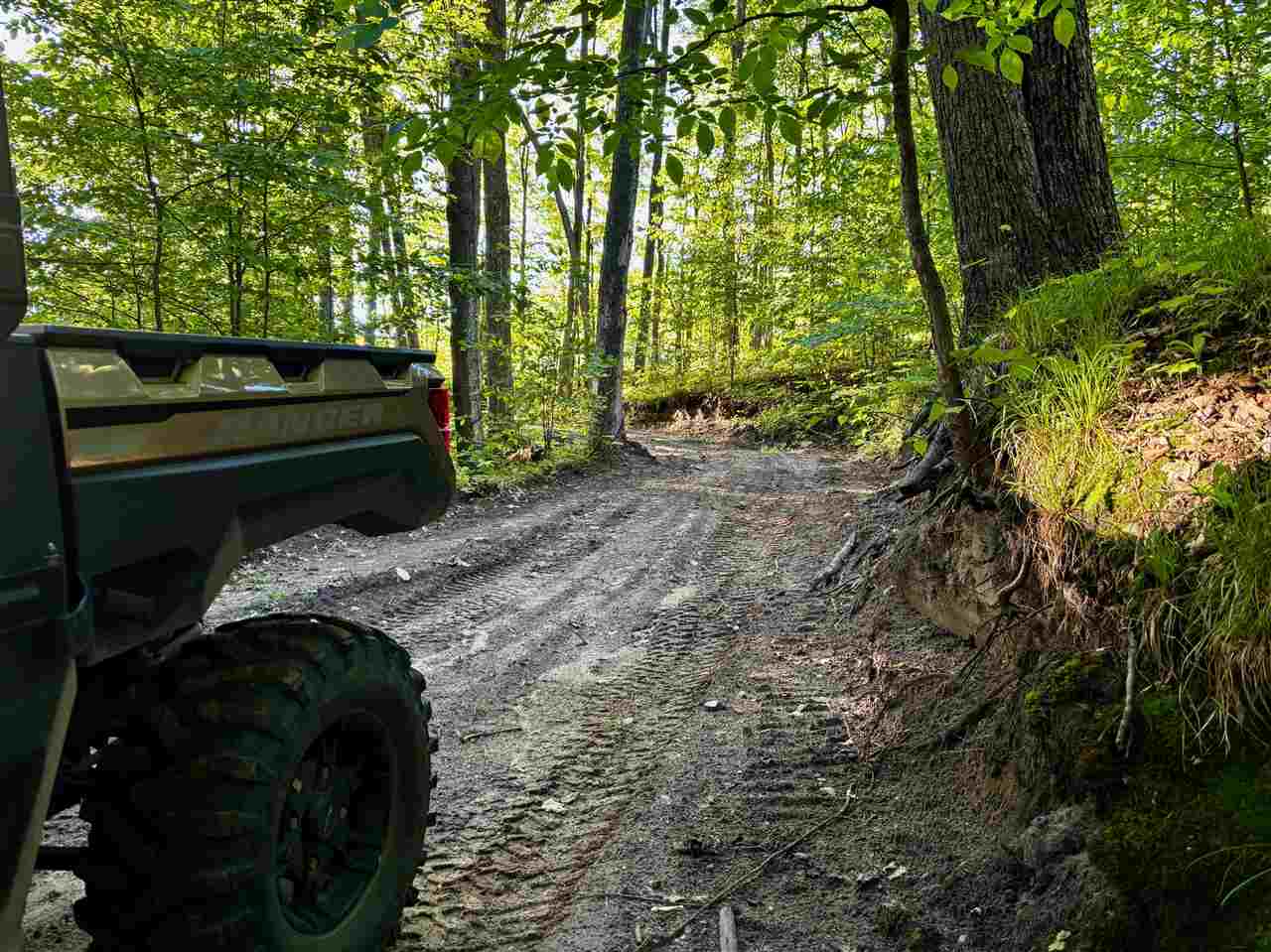 Tbd Clark Road Central Lake MI 49622