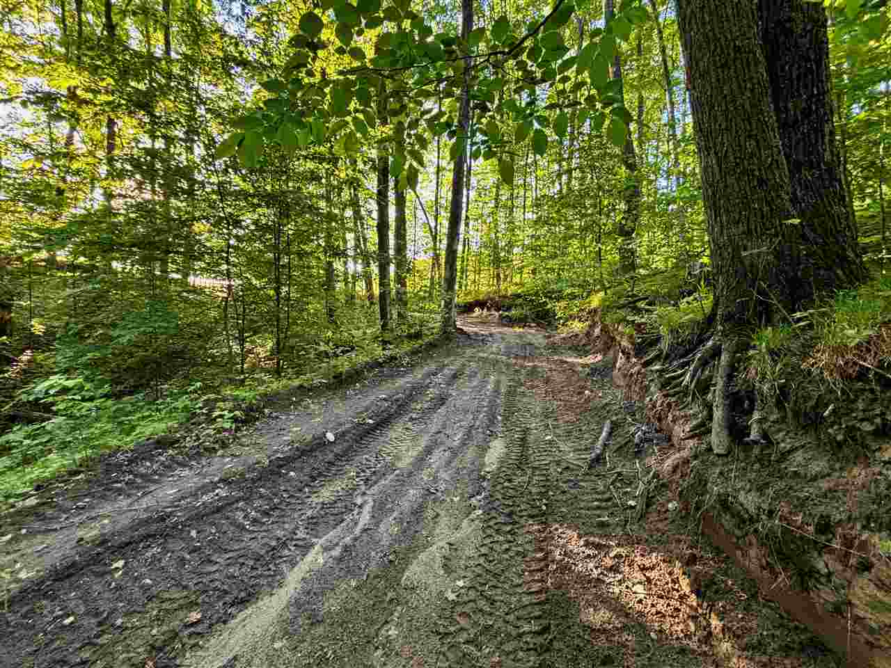Tbd Clark Road Central Lake MI 49622