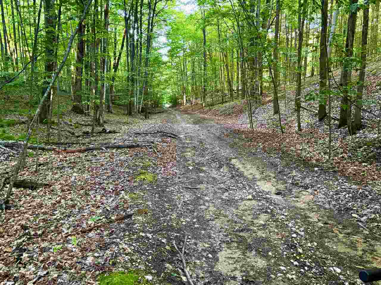 Tbd Clark Road Central Lake MI 49622