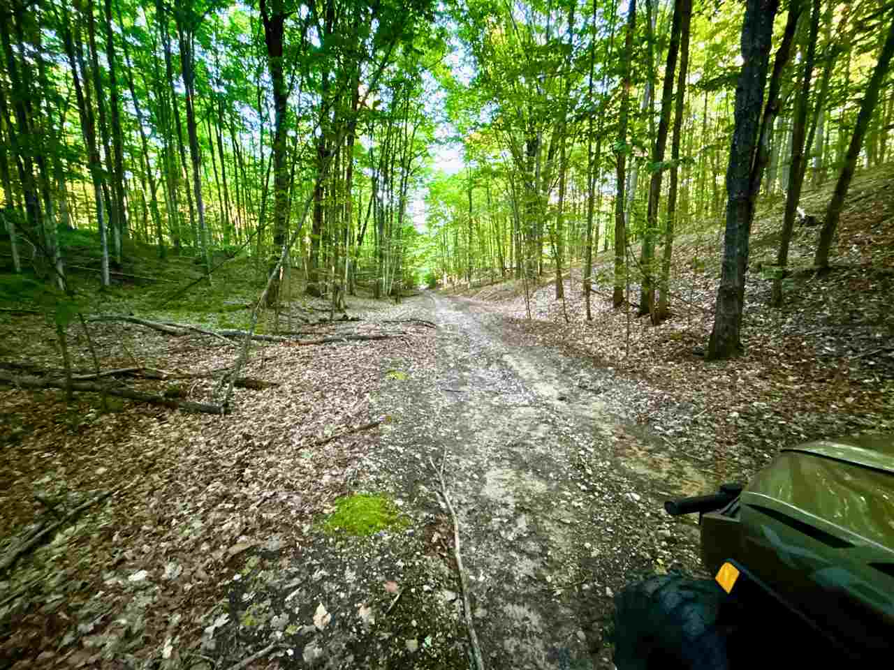 Tbd Clark Road Central Lake MI 49622
